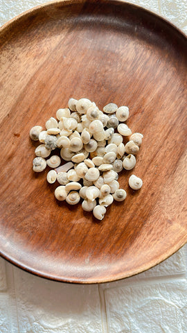 Mother peal shells Mother peal shells