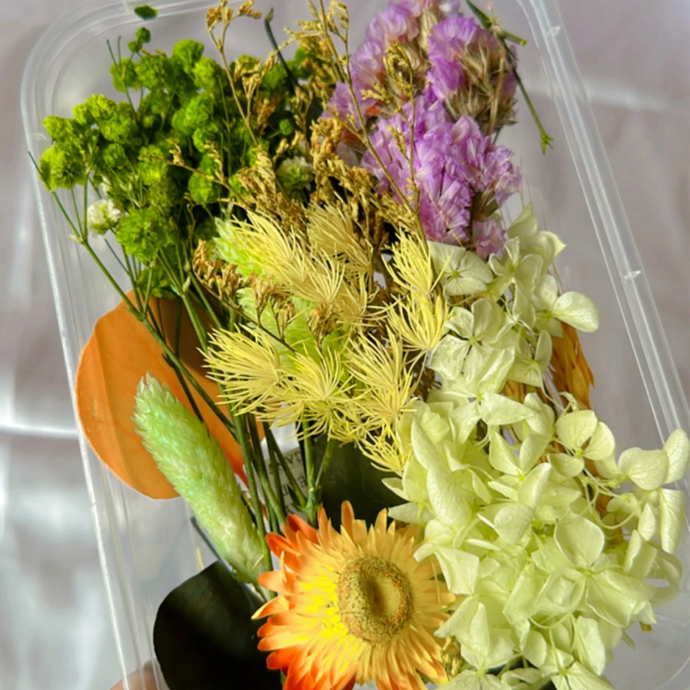 Dry Flower Box Dry Flower Box