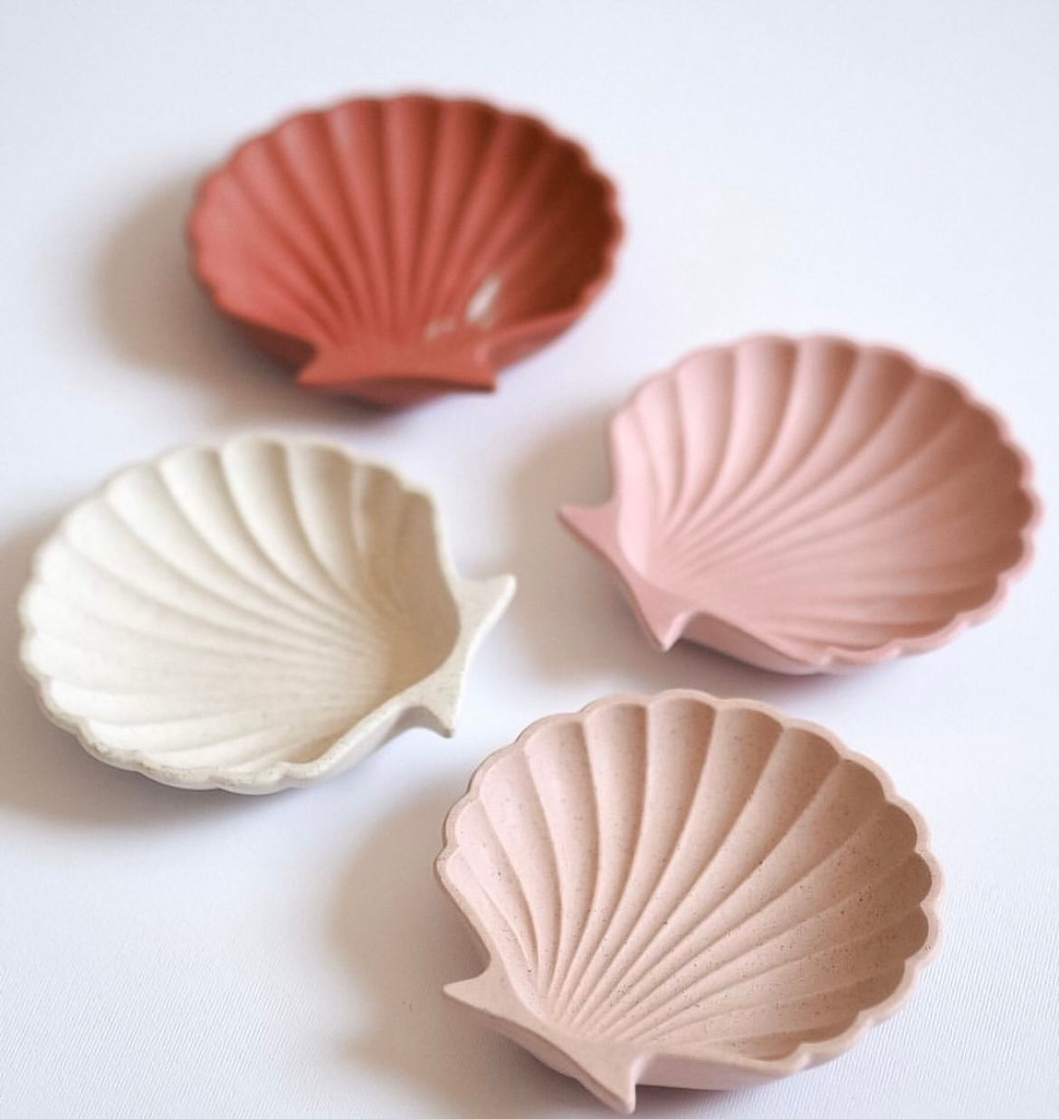 Shell Petry Shell Petry