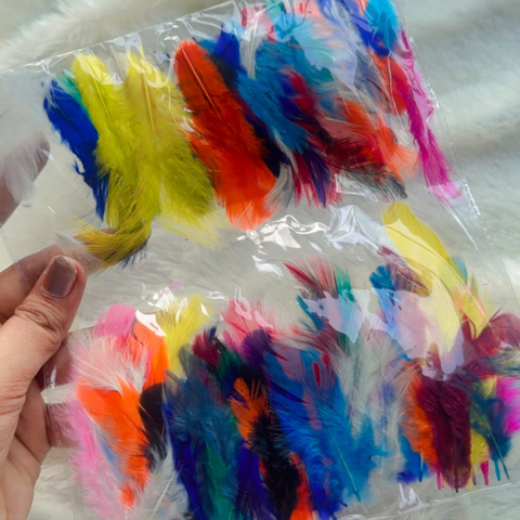 Feather Feather