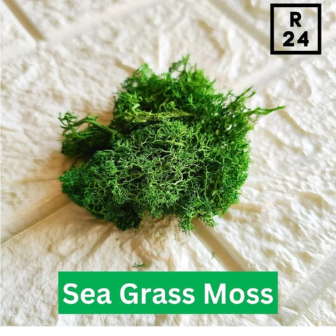 Grass Moss Grass Moss