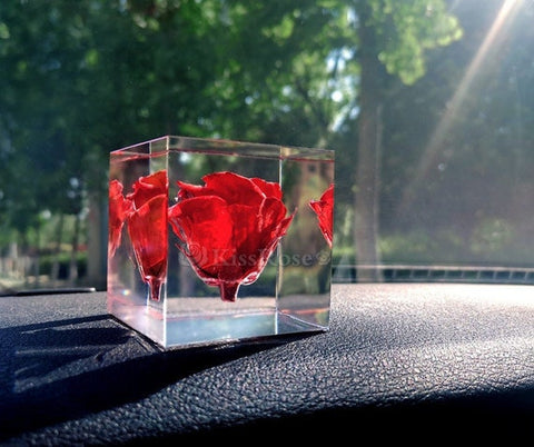 Set of 5 Cube Mold Set of 5 Cube Mold