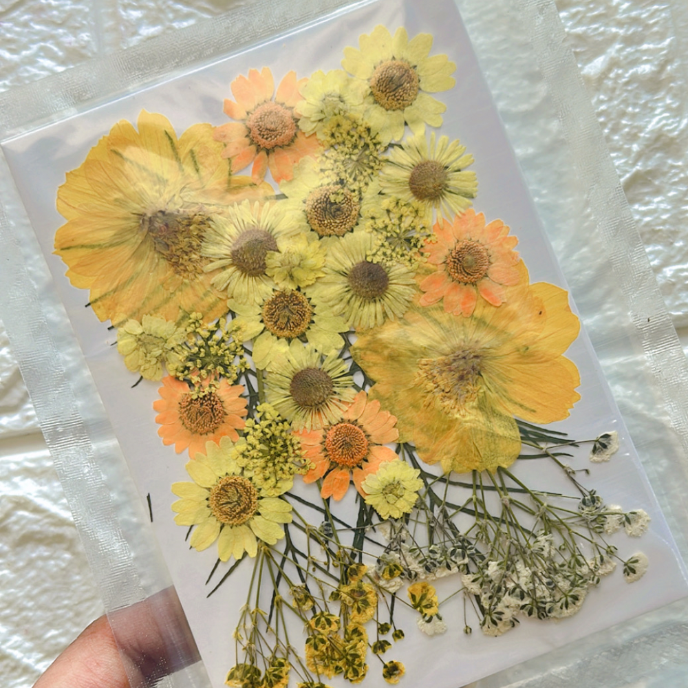 Yellow Flower Sheet Resin24