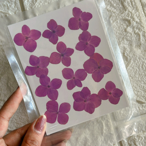 Purple Flower Sheet