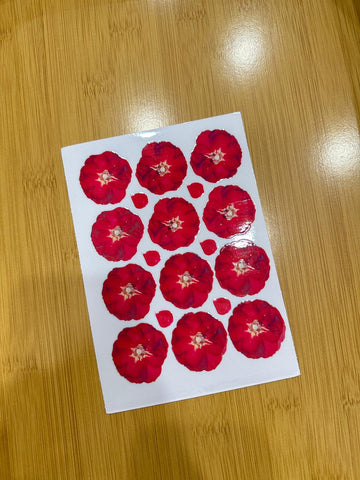 Floral Uvdtf Sticker U24