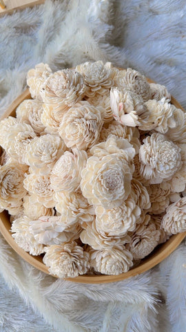 Pearl Peony