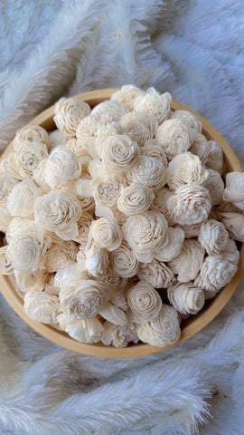 Creamy Rose
