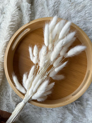 Bunny Tails Grass