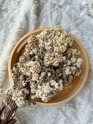 Original Himaliyan Baby Breath