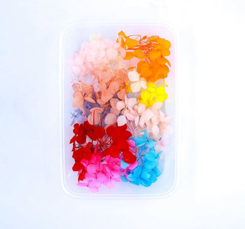 Multi Hydra Flower Box