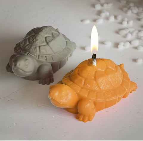 Turtle Mold