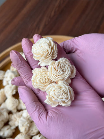 Rose tiny flowers