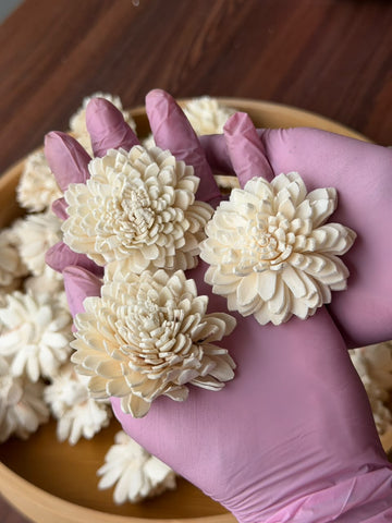 Sola Flowers