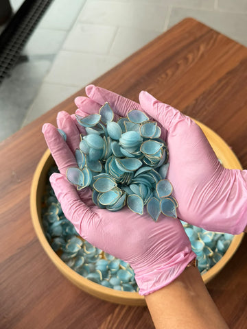 3D Rose Petals Aqua Blue