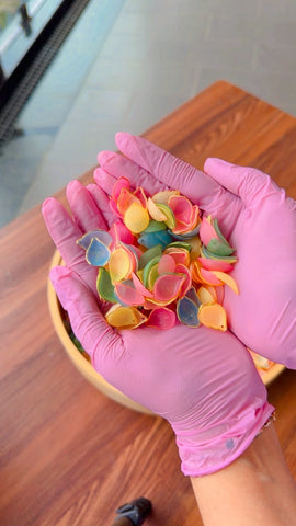 3D Rose Petals Multi